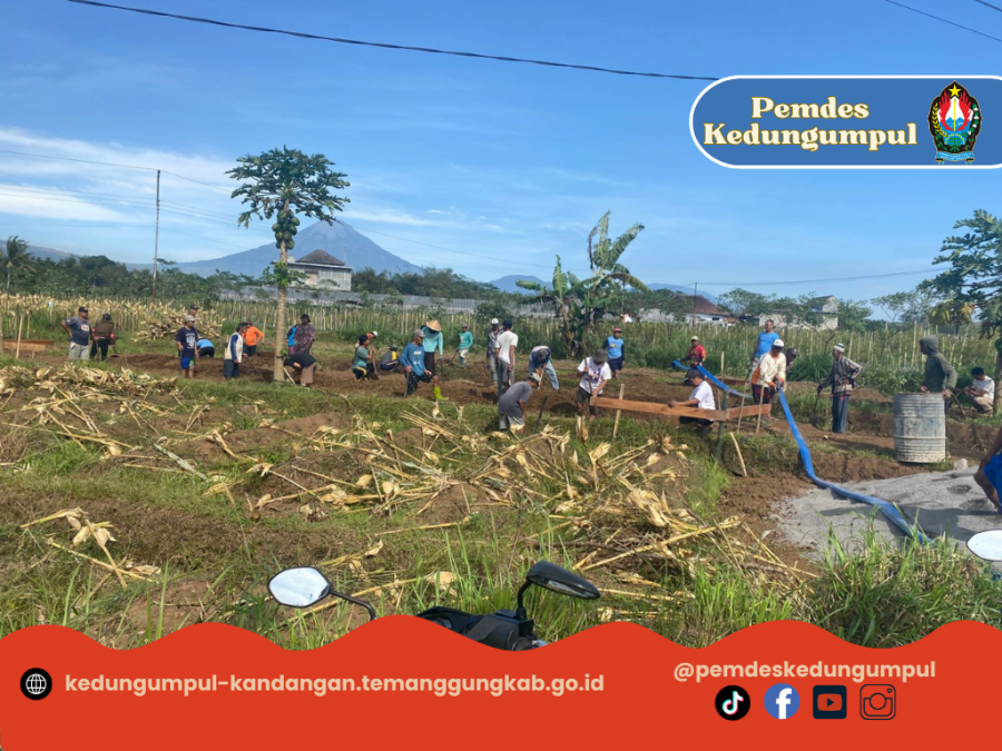 Gambar Berita