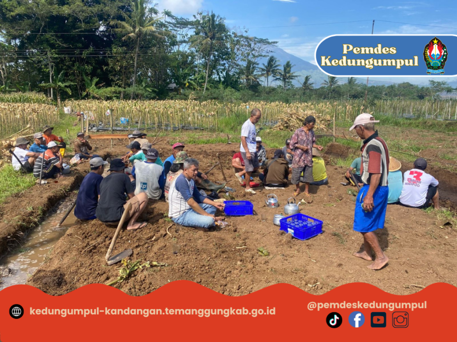 Gambar Berita
